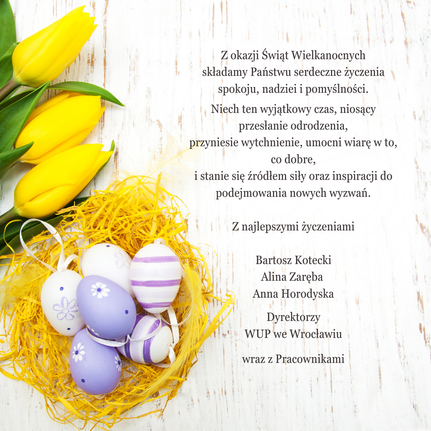 Kartka wielkanocna. Po lewej stronie żółte tulipany oraz gniazdo z ozdobnymi pisankami w odcieniach bieli i fioletu. Po prawej stronie znajduje się tekst: „Z okazji Świąt Wielkanocnych składamy Państwu serdeczne życzenia spokoju, nadziei i pomyślności. Niech ten wyjątkowy czas, niosący przesłanie odrodzenia, przyniesie wytchnienie, umocni wiarę w to, co dobre, i stanie się źródłem siły oraz inspiracji do podejmowania nowych wyzwań. Z najlepszymi życzeniami Bartosz Kotecki, Alina Zaręba, Anna Horodyska, Dyrektorzy WUP we Wrocławiu wraz z Pracownikami.